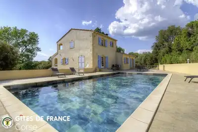 Image de La villa des oliviers sauvages