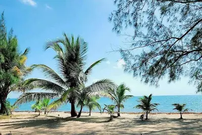 Image de Beachfront  Apartment – Wake Up to Caribbean Sea Views