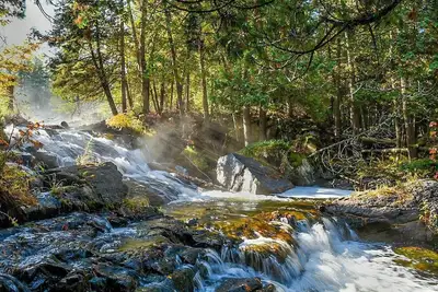 Image de Forest retreat with private waterfalls