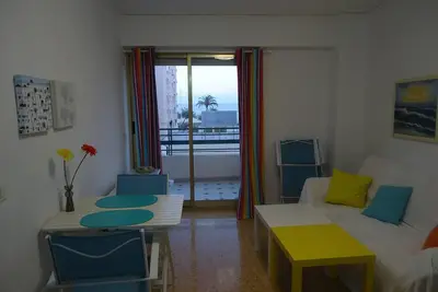Image de Appartement T2 avec animaux admis - 4 pers.