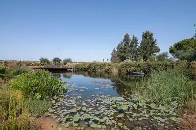 Image de Retraite de 2 chambres en Algarve avec yoga, Pilates et piscine naturelle