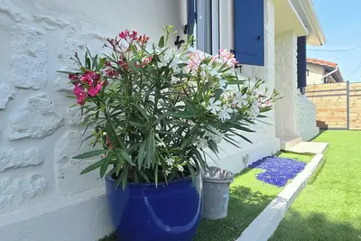 Image de Charmante maison entièrement rénovée 3* et climatisée à Royan – 8 personnes