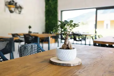 Image de Soča River Resort - Boutique Apartments