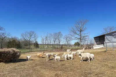 Image de 7-Unit Ozarks Group Retreat on Working Farm!