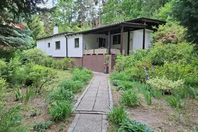 Image de Cozy Cottage - dreaming in the forest
