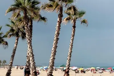 Image de Excellent 100m apartment across from the lighthouse, a 3-minute walk from the beach, in a quiet area