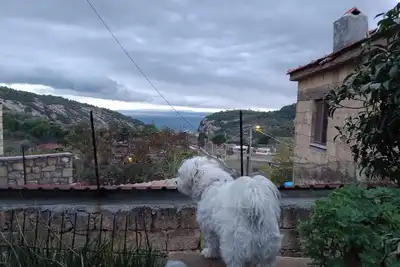 Image de Merve Stone House Assos