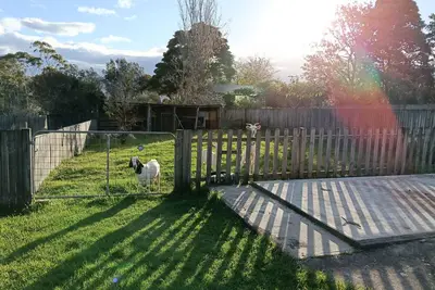 Image de Musicians Residence with a strong lean to Nature.