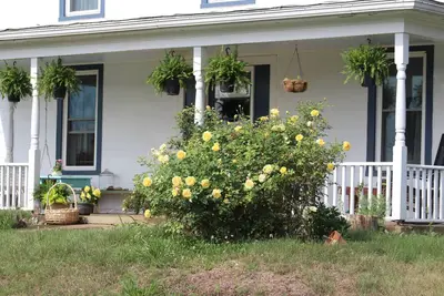 Image de The Honeysuckle Cottage in beautiful Madison Va
