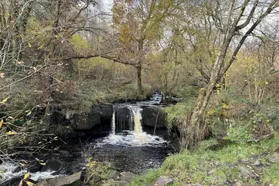 Image de Bronfelin & Troed-y-rhiw Holiday Cottages