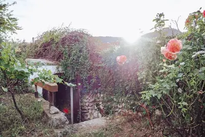 Cottage with private wine cellar below Děvičky, Pavlov