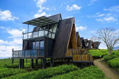 Image de Nimo Tea Resort