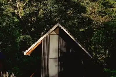 Image de Higuerón Lodge en Bajos del Toro - Oropéndola