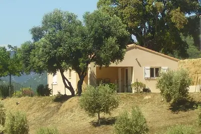 Image de L'oliveraie 1 - Sollacaro