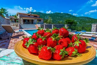 Image de Villa with swimming pool