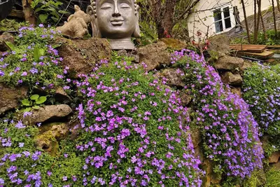 Image de Tranquil Riverside Cottage in Lydbrook