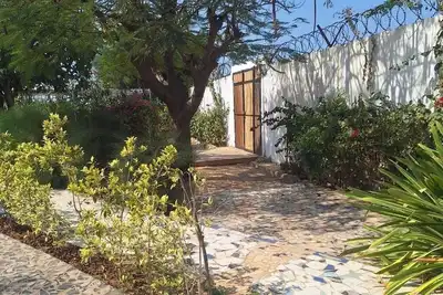 Image de Blue Lagoon | Garden Floor
