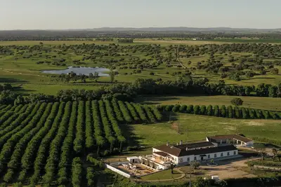 Image de O Azinhal - Historic Estate in the Heart of the Alentejo, Portugal