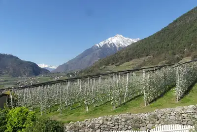 Image de Appartement « Zielspitze Residence Spisshof » avec vue sur la montagne, piscine et Wi-Fi