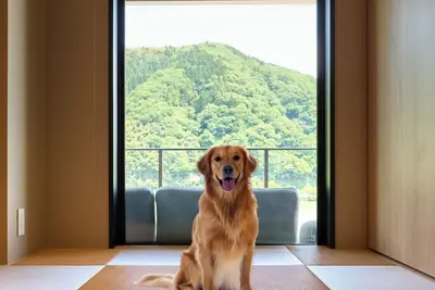 Image de BRakuten Stay Terrace Kinosaki Riverside  3 Queen  4 Single Beds  Pets Allowed / Toyooka City Hyōgo