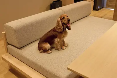 Image de FRakuten Stay Terrace Kinosaki Riverside2 Queen  1 Sofa BedPet Allowed / Toyooka City Hyōgo