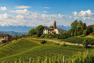 Image de Villa Irene Langhe – School House Ground Floor, View of the Monforte and Novello Vineyards