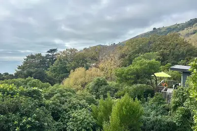 Image de Cosy cabin style bach, immersed in native bush, in beautiful Banks Peninsula