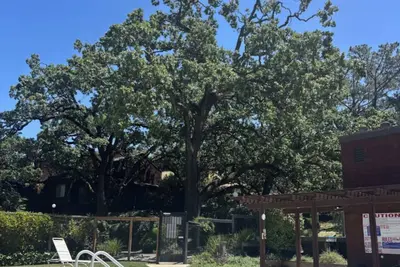 Image de Serene 3 br townhome with pool/Hot Tub in Novato