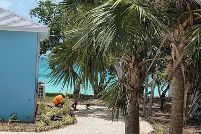 Image de New 2 bed, 2 bath house on beachfront property on peaceful Russell Island