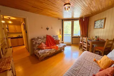 Image de Studio cabine vue mélèzes - 4 pers.