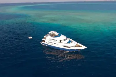 Image de Malé Marvel: Sun-Kissed Sailing Experience in the Maldivian Atoll