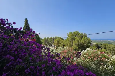Image de Panorama I House