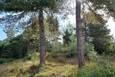 Image de Appartement Belle Dune: entre lac, mer et forêt de pins