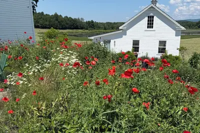 Image de Cozy 1-bedroom cottage on beautiful organic farm in Vermont