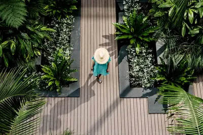 Image de Veriu Camperdown