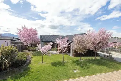 Image de Mountain views in Meadowstone