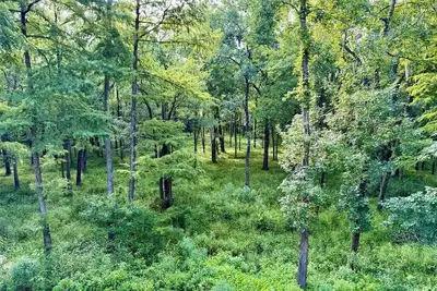 Image de Sky Dreams Ranch, 46-Acre Riverfront Lodge, Sleeps 14