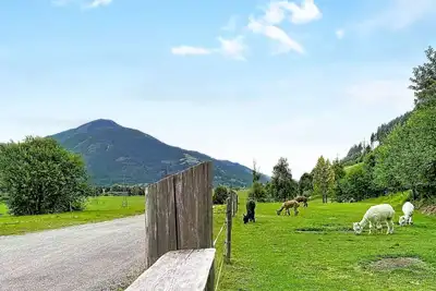Image de Confortable appartement dans une maison de vacances pour 4 personnes avec Tv et animaux admis