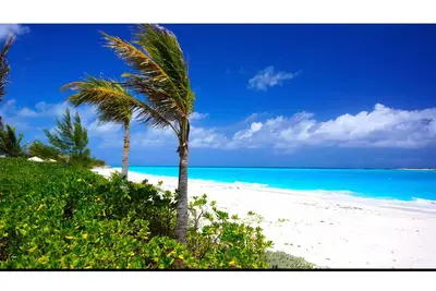 Image de Luxury Pool Villa Steps From Stunning Beach Beautiful Views East Tower Only