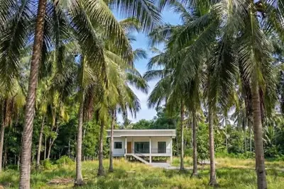 Image de Coconut Villa with Two Bedrooms and Palm View