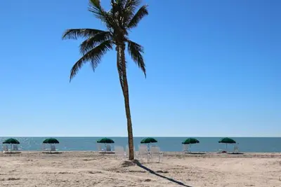 Image de Island Inn