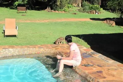 Image de Caracal Lodge