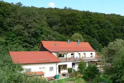 Image de Maison Rhena proche Ski Willingen