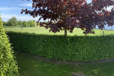 Chalet confortable à Malmedy avec jardin privé