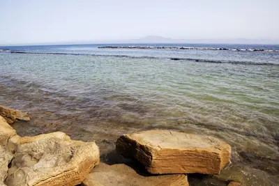 Image de Wifi nid romantique côté mer