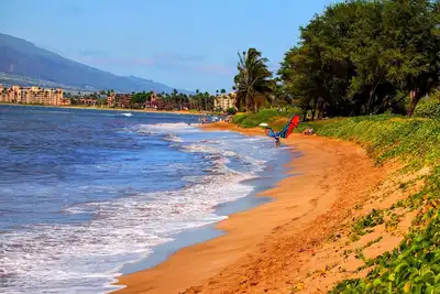 Votre Aventure Maui Attend! ! ! 🏝Réservez maintenant et réservez votre aventure!