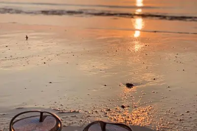 Image de Budget, intimité, grande cour clôturée, coucher de soleil, chiens bienvenus, Wifi gratuit, kayak
