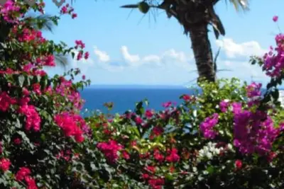 Image de Tres Bel Appartement Jardin Prive Vue Mer Plage 3minutes