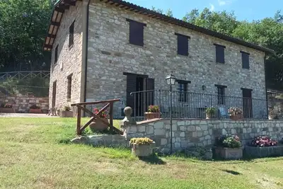 Image de Élégante maison de campagne au milieu des oliviers avec piscine privée