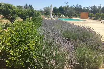 Image de Fantastique maison majorquine au centre de l'île, parfaite pour les cyclistes!